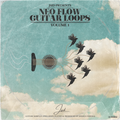 NEO-FLOW GUITAR LOOPS VOL. 1